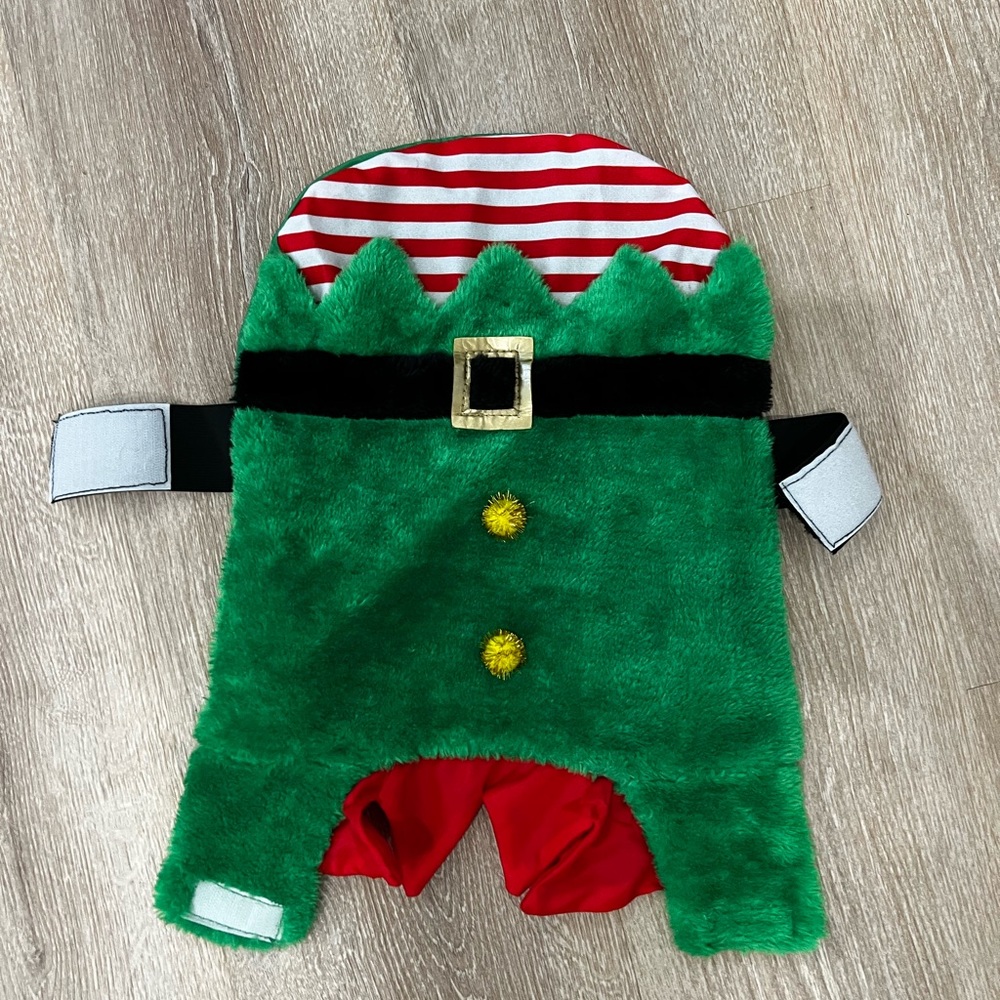 Dog elf outfit